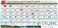 Стенд "Красная книга РФ" - «globural.ru» - Томск