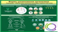 Стенд "Формы размножения организмов" - «globural.ru» - Томск