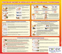 Стенд "Первая доврачебная неотложная помощь" - «globural.ru» - Томск