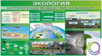 Стенд "Экология. Антропогенное воздействие на биосферу" - «globural.ru» - Томск