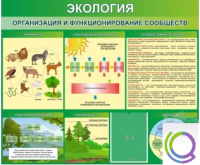 Стенд "Экология. Организация и функционирование сообществ" - «globural.ru» - Томск