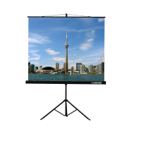 Проекционный экран на штативе Lumien Eco View (LEV-100105) 160x160 см - «globural.ru» - Томск