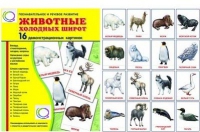 Демонстрационные карточки "Животные холодных широт" - «globural.ru» - Томск