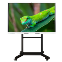 Интерактивный комплекс Geckotouch ​​​​​​​65RK - «globural.ru» - Томск