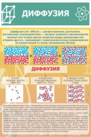 Стенд "Диффузия" - «globural.ru» - Томск