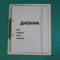 Дневник школьника (с полным набором карточек) - «globural.ru» - Томск