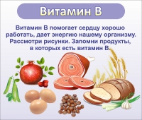Стенд "Витамин В" - «globural.ru» - Томск