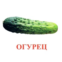 Карточки Домана "Овощи-Зелень-1" - «globural.ru» - Томск