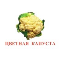 Карточки Домана "Овощи-Зелень-2" - «globural.ru» - Томск
