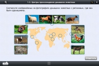 Интерактивные курсы. Биология 7 класс. Расширенный - «globural.ru» - Томск