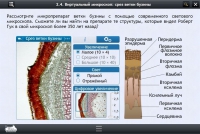 Интерактивные курсы. Биология 5 класс. Базовый  - «globural.ru» - Томск