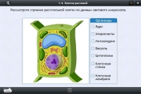 Интерактивные курсы. Биология 9 класс. Базовый - «globural.ru» - Томск
