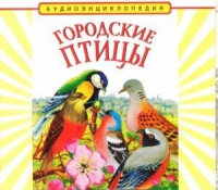 CD "Аудиоэнциклопедия. Городские птицы" - «globural.ru» - Томск