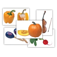 Набор предметных картинок "Овощи. Музыкальные инструменты" - «globural.ru» - Томск