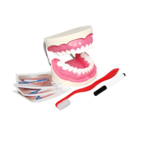 Игровой комплект "Чистим зубы" - «globural.ru» - Томск