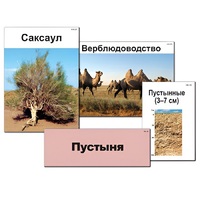 Модель-аппликация "Природные зоны России" - «globural.ru» - Томск
