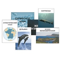 Модель-аппликация "Океаны. Знакомство" (ламинированная) - «globural.ru» - Томск