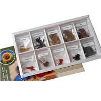 Коллекция "Плоды сельскохозяйственных растений" (вариант 2) - «globural.ru» - Томск