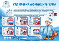 Стенд "Как правильно чистить зубы" - «globural.ru» - Томск