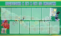 Стенд "Подготовка к ЕГЭ и ОГЭ по биологии" (вариант 2) - «globural.ru» - Томск