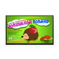 Интерактивная сенсорная панель 55"  (UHD 4K) - «globural.ru» - Томск