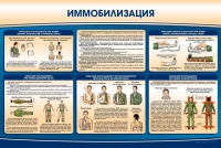 Стенд "Иммобилизация" - «globural.ru» - Томск
