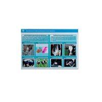 Стенд-планшет светодинамический «Изучение асептических и гнойных воспалительных процессов» - «globural.ru» - Томск