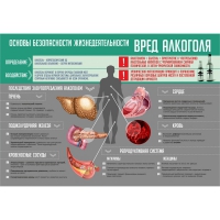 Стенд "Алкоголь" - «globural.ru» - Томск