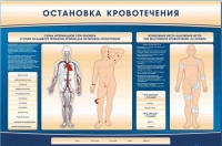Электрифицированный стенд-тренажер "Остановка кровотечения" - «globural.ru» - Томск
