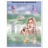 Плакат "Никотиновая зависимость", ламинированный, 50*67 см - «globural.ru» - Томск