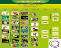 Стенд "Систематика животных" - «globural.ru» - Томск