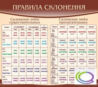 Стенд "Правила склонения" - «globural.ru» - Томск