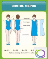 Стенд "Снятие мерок" (вариант 1) - «globural.ru» - Томск
