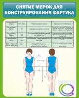 Стенд "Снятие мерок для конструирования фартука" - «globural.ru» - Томск