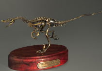 Модель скелета динозавра Velociraptor - «globural.ru» - Томск