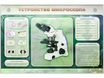 Электрифицированный стенд "Устройство микроскопа и правила работы c ним" - «globural.ru» - Томск