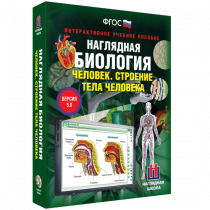 Наглядная биология. Человек. Строение тела человека - «globural.ru» - Томск