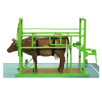 Наглядный макет «Методы и устройства для фиксации КРС» - «globural.ru» - Томск