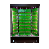 Вертикальная ферма "Моя Микрозелень" комплектация "Театро настольная" - «globural.ru» - Томск