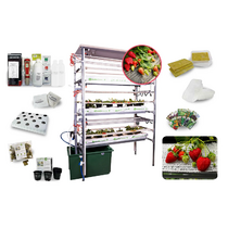 Гидропонная установка "Клубничная ферма" - «globural.ru» - Томск