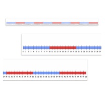 Нумирошка. Числовая прямая 0-100 по методике Нумикон - «globural.ru» - Томск