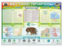 Стенд-уголок "Вестник природы" (вариант 1) - «globural.ru» - Томск