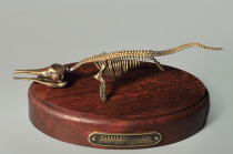 Модель скелета ихтиозавра Ichthyosaurus - «globural.ru» - Томск