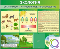 Стенд "Экология. Организация и функционирование сообществ" - «globural.ru» - Томск