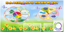 Стенд "Календарь природы" (вариант 2) - «globural.ru» - Томск