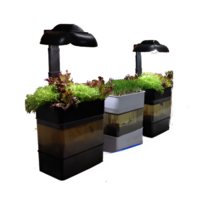 Учебная установка "Аквапоника"  - «globural.ru» - Томск