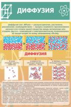 Стенд "Диффузия" - «globural.ru» - Томск