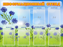 Стенд информационный с 7 карманами - «globural.ru» - Томск