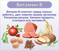 Стенд "Витамин В" - «globural.ru» - Томск