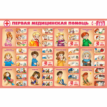 Стенд "Первая помощь" - «globural.ru» - Томск